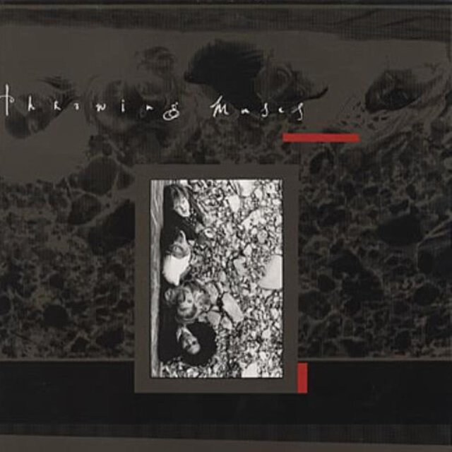 Record sleeve image